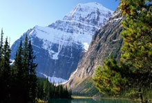 -老鹰控卫复出状态火爆，球队前景一片光明的简单介绍