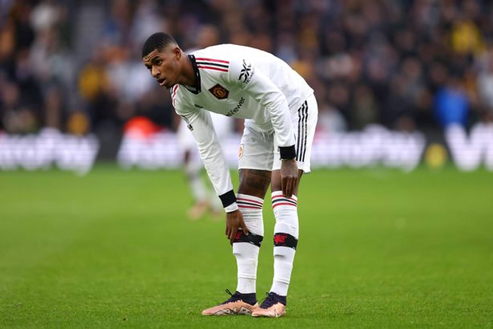 狼队客场平狂欢,豺狼兽归来的简单介绍 狼队客场平狂欢,豺狼兽归来的简单介绍